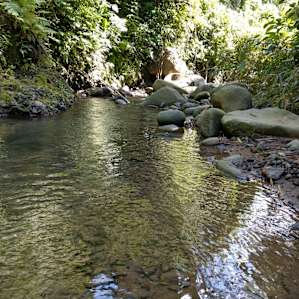 Paradise Camping Coffee Farm