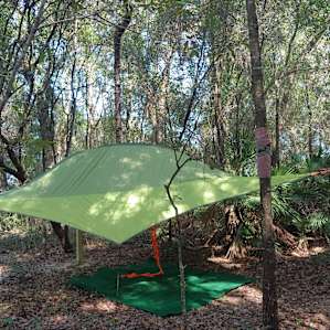 Sleeping in the trees