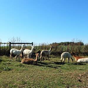 Red Barn Farm Experience RV Style