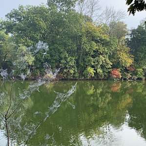 Private Camp on Pond & River Site 1