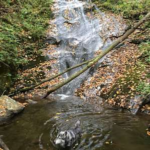 Waterfall Haven Camping
