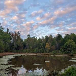 Lovely little pond on the trail