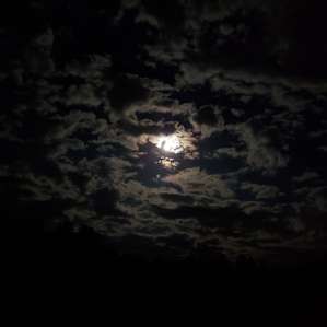 Gorgeous night!