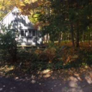 Cabin in the Woods is 420-Friendly!