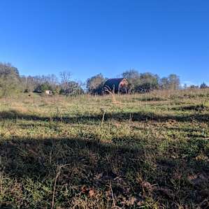 View of the barn from the outskirts of the cow field