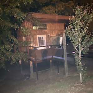 Tree House on the Pond