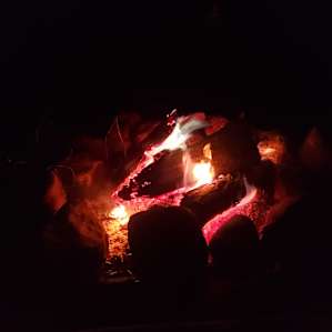 Great fire pit with plenty of wood available