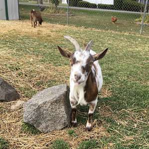 Little Riverbend Farm Hidden Escape