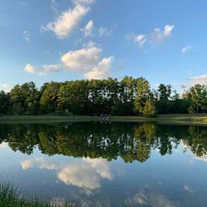 Beautiful view from the bank