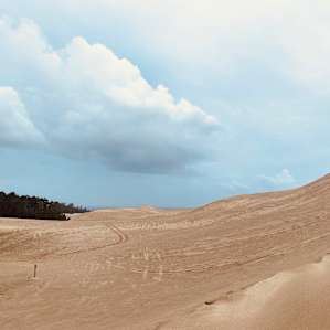 Dunes for days separate the campground from the ocean