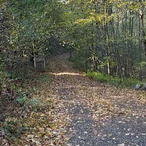 road to campsite