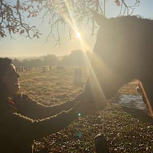 The horses gathered around to say goodbye to us as we were leaving