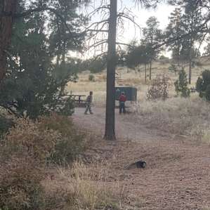Site next to ours-- backing to the forest/open space, bear boxes provided