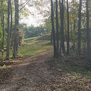 Path from the entrance to the shack sites; very secluded from the electricity hook up sites