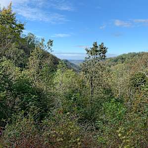 view sans clouds