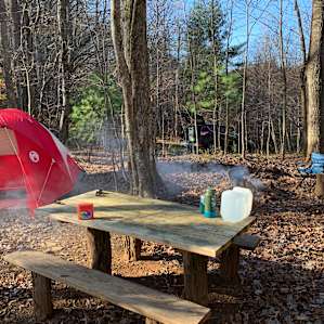 Large campsite with tent pad, fire pit, picnic table.