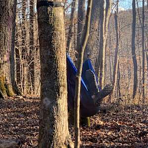 Lots of good hammock trees.