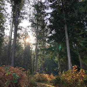 Pleasant Hill Private Campground