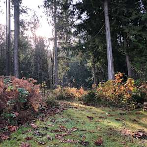Pleasant Hill Private Campground