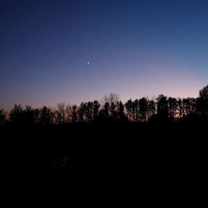 North Ridge Pines (The River Farm)