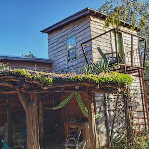 Bad ass living roof on the main house.
