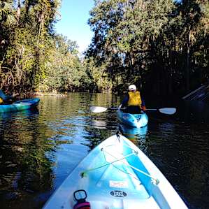 Kayaking Blue Springs headwaters. 100 million gallons a day of clear water bubbling up. Can also scuba into the spring entrance