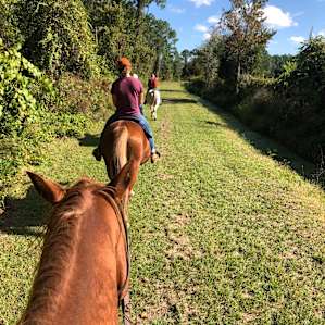 Tent Camping on 200 Acre Horse Farm