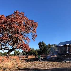 Cute Off-Grid CABIN on 84 ACRES