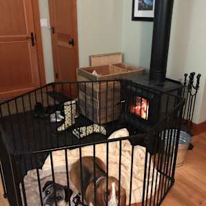 Crystal made sure we knew the dogs could run around inside and out. They enjoyed their kennel in front of the fire.