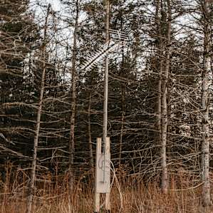 Every cabin has a connection to a satellite TV.