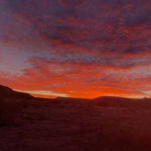 Sunrise through my tent window