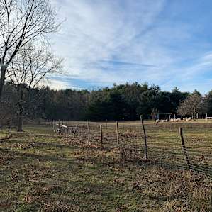 Honey Hollow Farmstay