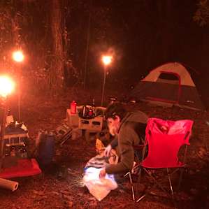 Hookie's Hideaway Forest Camp