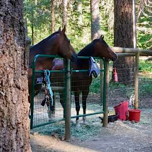 Horse camp site with a double corral.