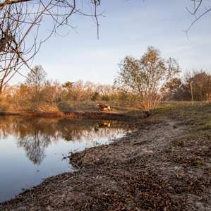 Aggie Acres