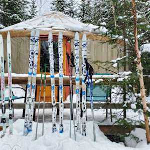 Tall Pines Wilderness Yurt