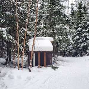 Tall Pines Wilderness Yurt