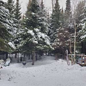 Tall Pines Wilderness Yurt