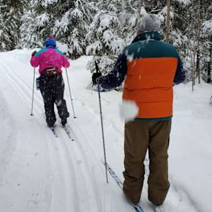 Tall Pines Wilderness Yurt