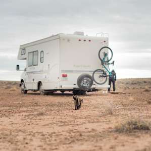 Big Spin Ranch Petrified Forest