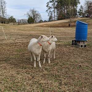 RV Farm Stay, NW GA