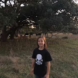 Cow visitors