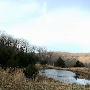 Canvas Tent in the Ozarks