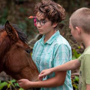 Wild horses roam the valley, and my children fell in love!