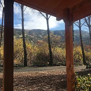Cottonwood Cabin