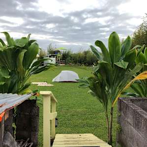 Camp at Howling Dog Guest House