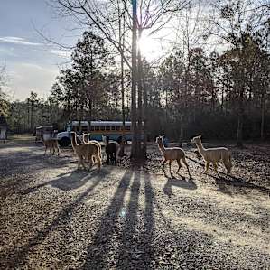 Heavenly Grace Farm