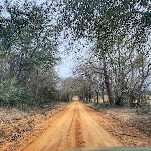 Beginning of the “off road” experience