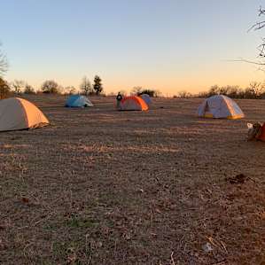 Meadows for pitching tents