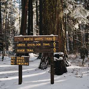 Trails at Big Tree Calaveras State Park - a quick 10 minute drive away!
